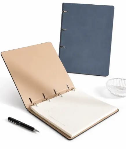 AGENDA EJECUTIVA BB-20426