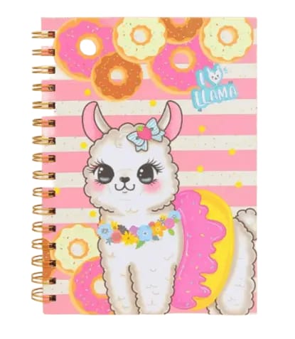 LIBRETA BB20272