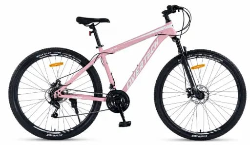 BICICLETA RYDETECH 300GT ACERO RODADO 29 TALLE M - ROSA/GRIS S/D