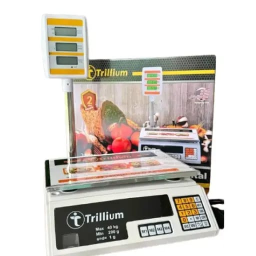 BALANZA COMERCIAL 40KG CON MASTIL